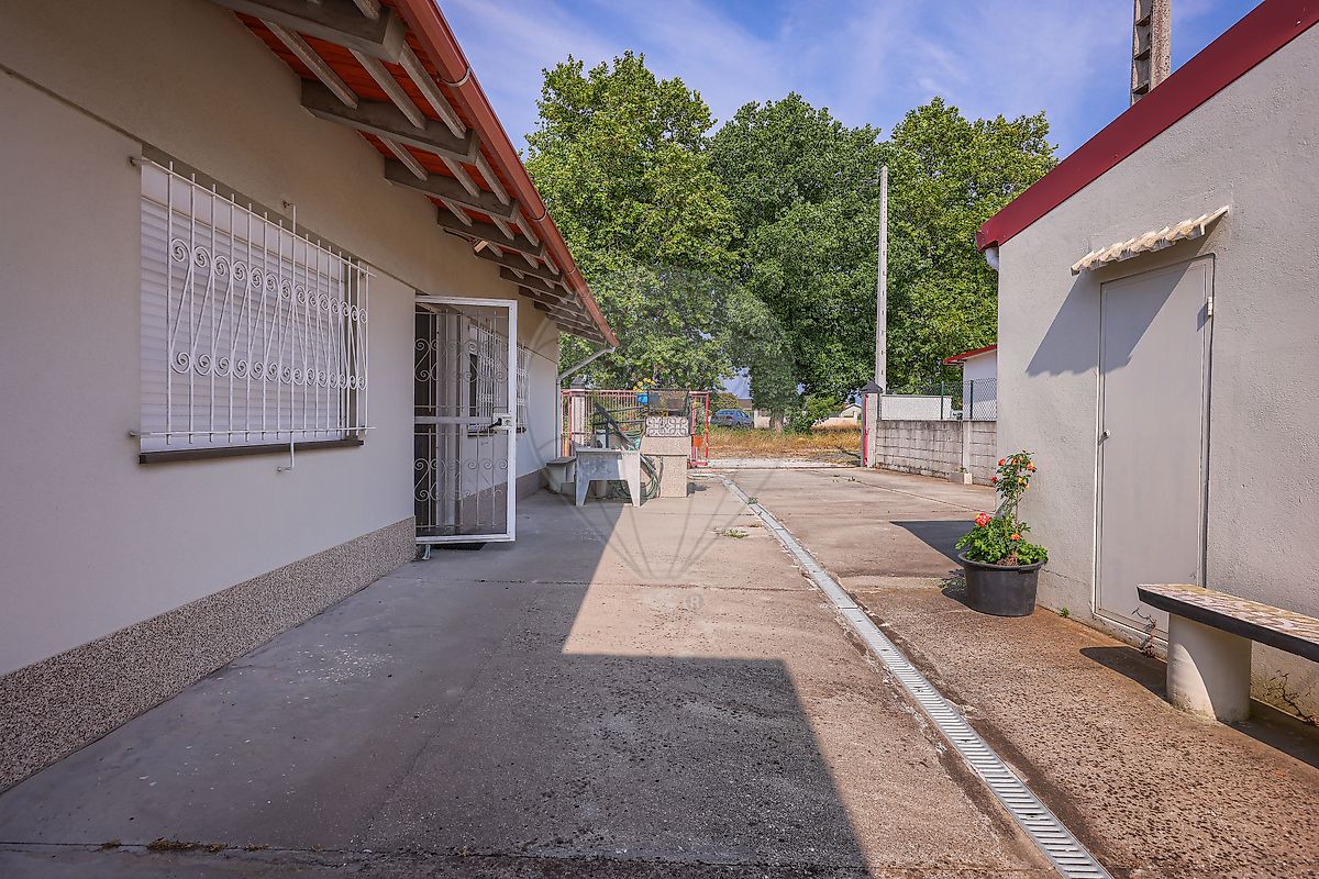 listing 123421215-69 picture-0