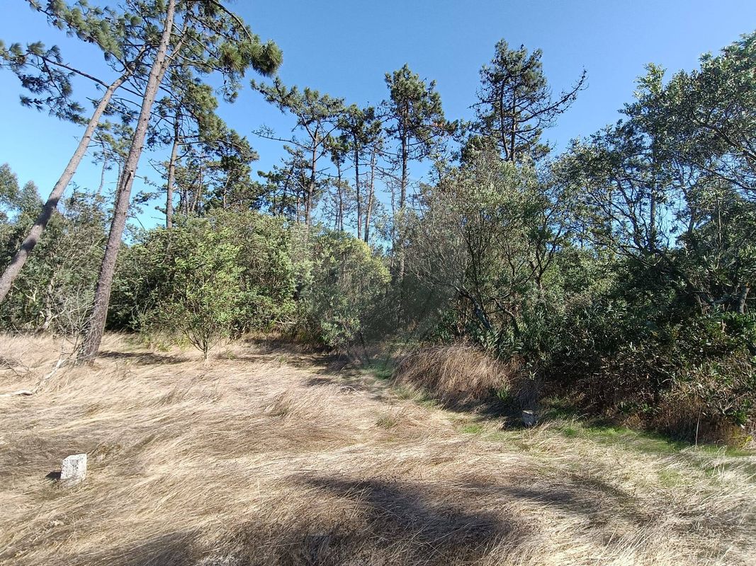 Terreno para venda