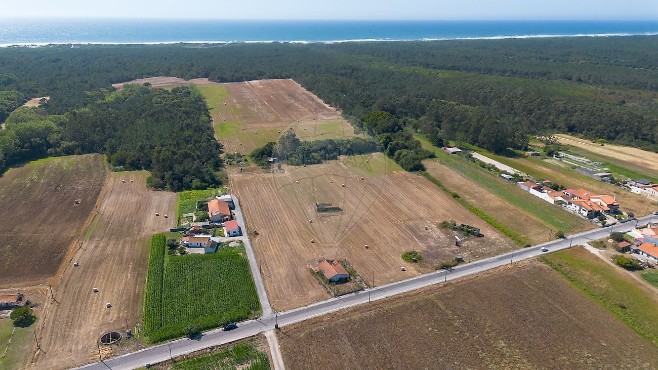 Quinta - Torreira, Murtosa, Aveiro