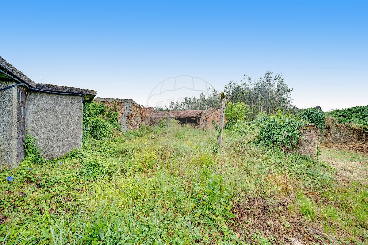 Moradia T3 à venda em Avelãs de Cima, Anadia — foto 12
