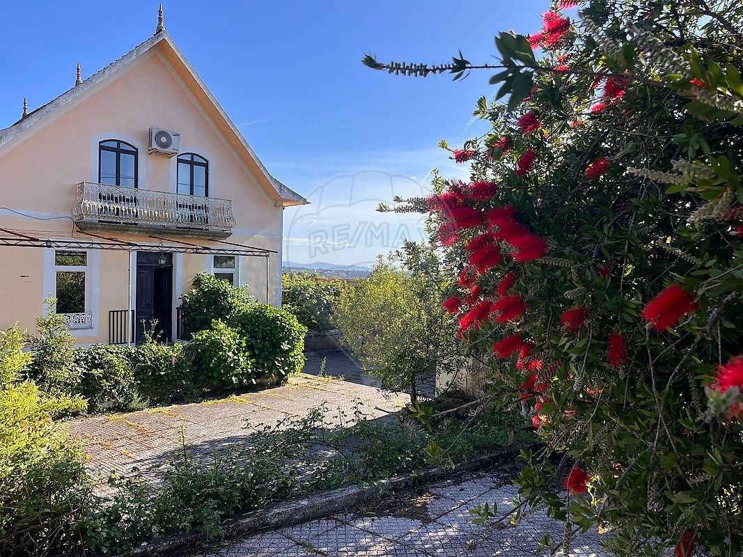 Quinta - Póvoa de Midões, Tábua, Coimbra