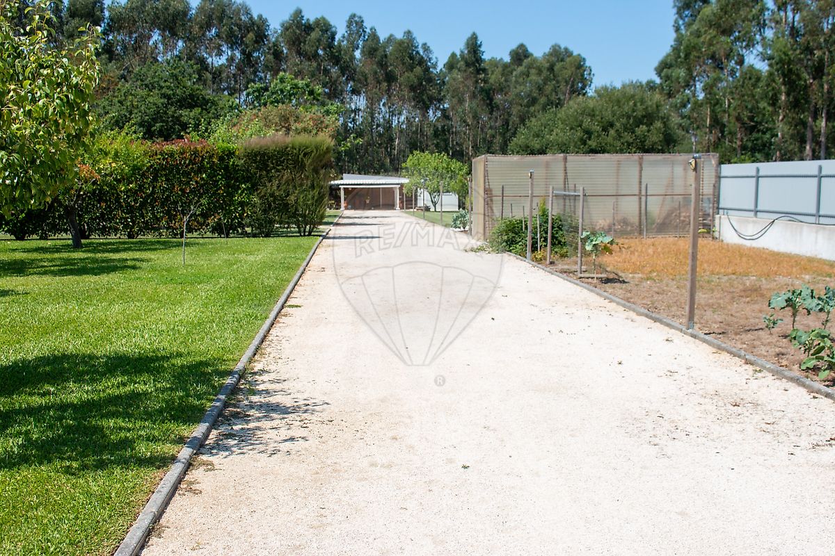 Moradia T4 à venda em Bustos, Troviscal e Mamarrosa, Oliveira do Bairro — foto 10