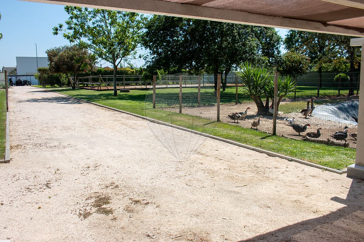 Moradia T4 à venda em Bustos, Troviscal e Mamarrosa, Oliveira do Bairro — foto 16