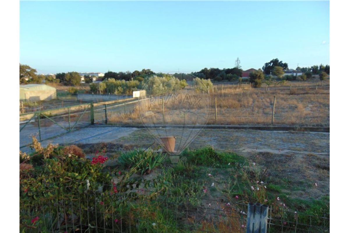 listing 123441279-1 picture-0