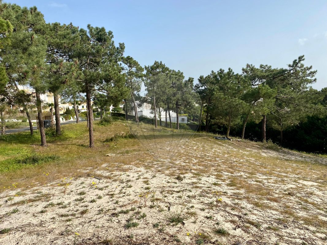 listing-picture-0