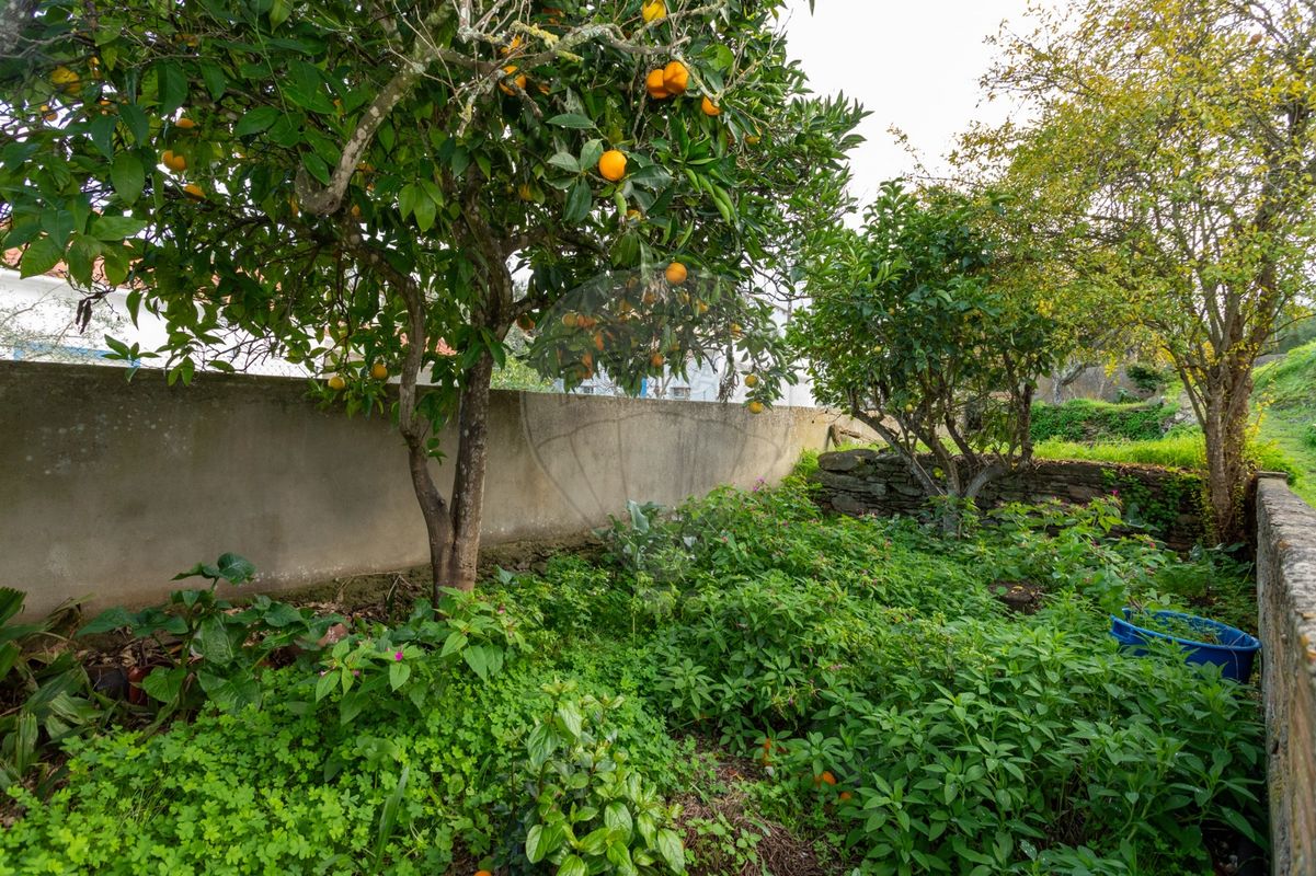 listing 123441008-228 picture-0