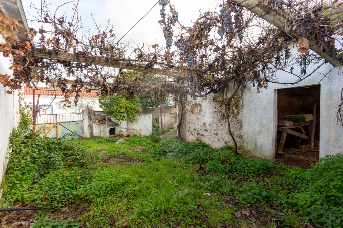 listing 123441008-228 picture-0