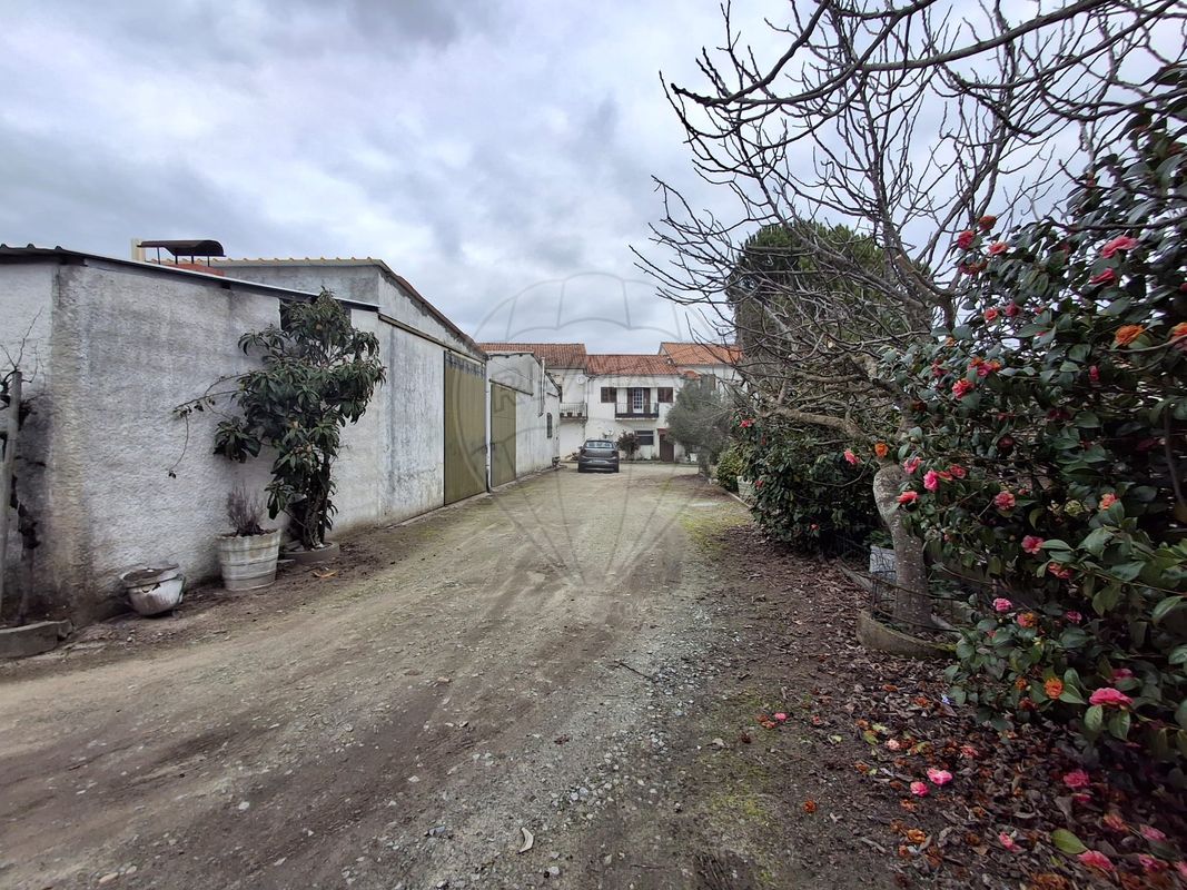 listing 123441389-136 picture-0