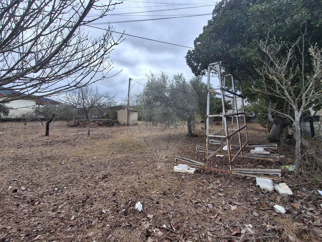 listing 123441389-136 picture-0