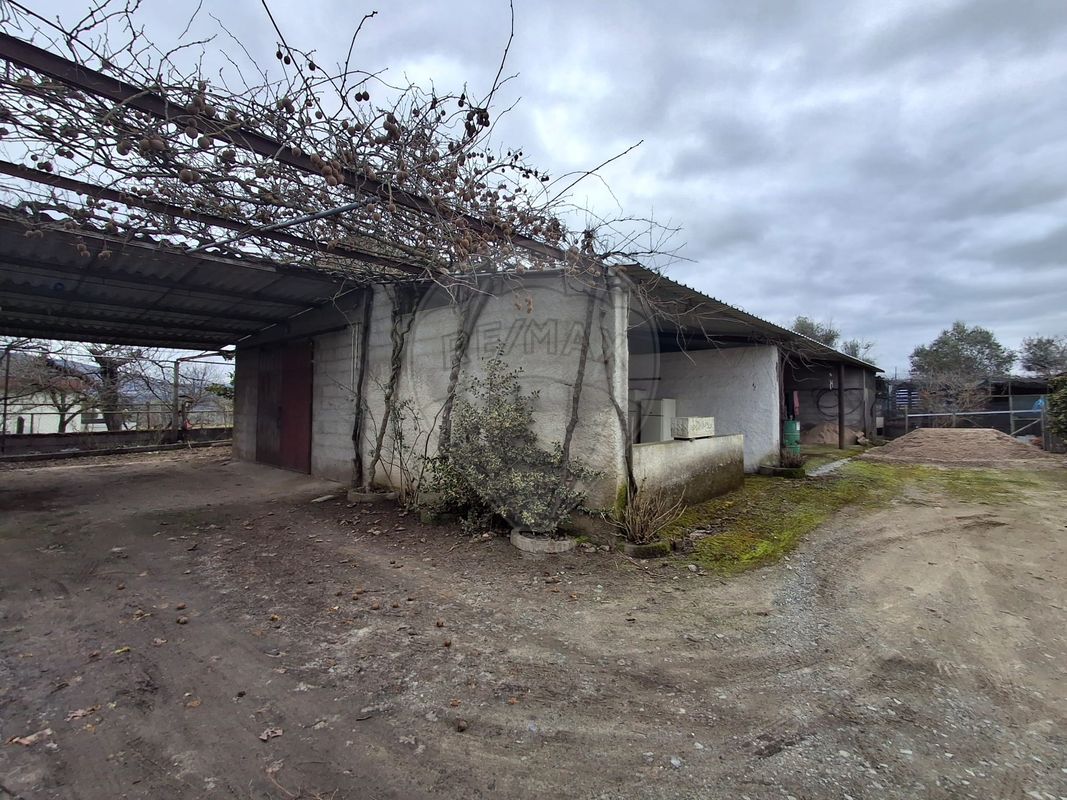 listing 123441389-136 picture-0