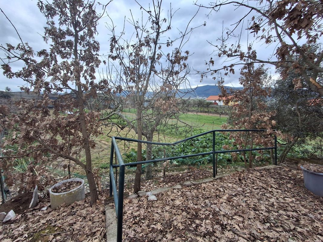 listing 123441389-136 picture-0
