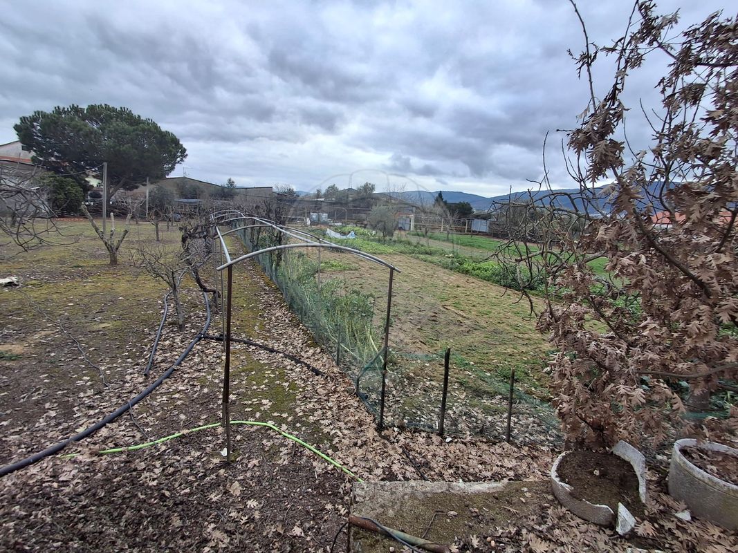 listing 123441389-136 picture-0