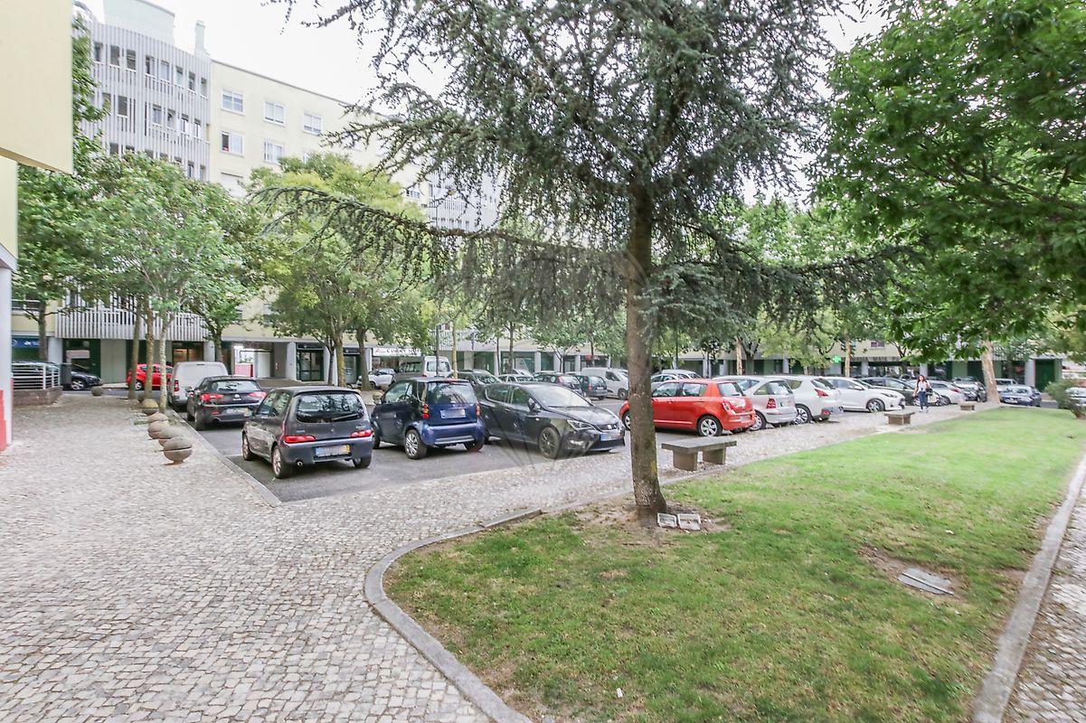 listing-picture-0