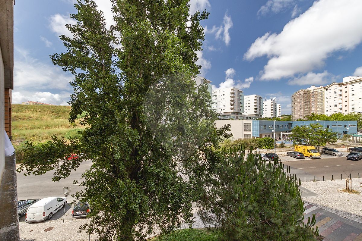 listing 123441319-71 picture-0