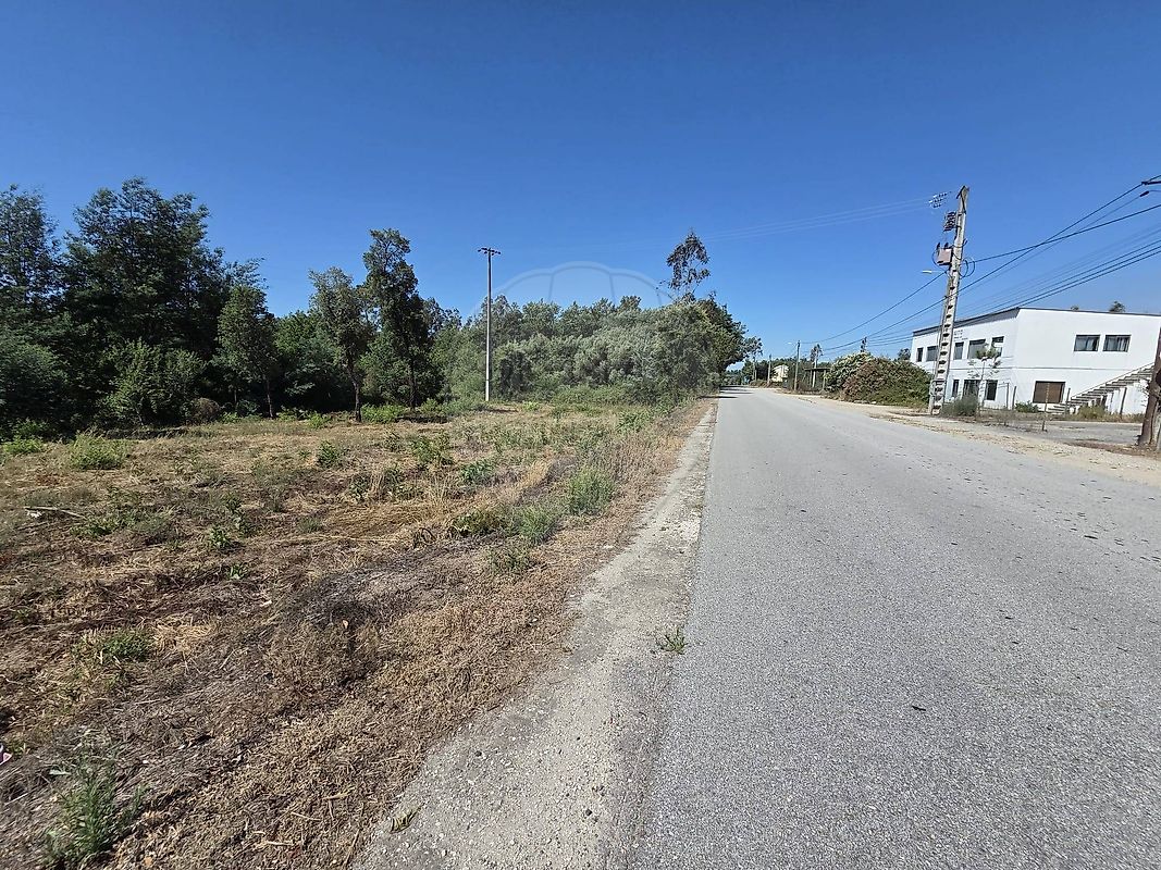 Terreno - Ovoa e Vimieiro, Santa Comba Dão, Viseu