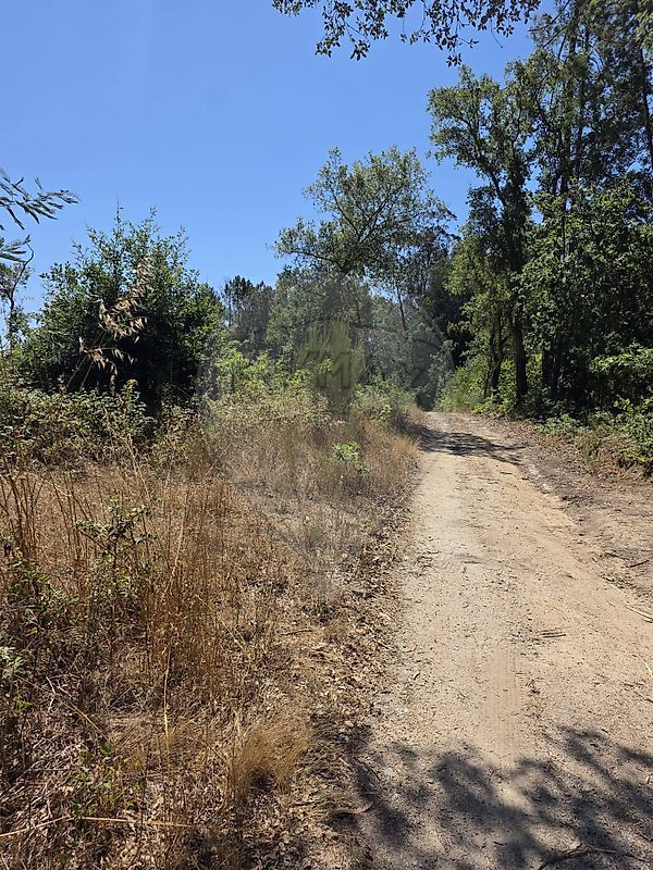Terreno - Ovoa e Vimieiro, Santa Comba Dão, Viseu