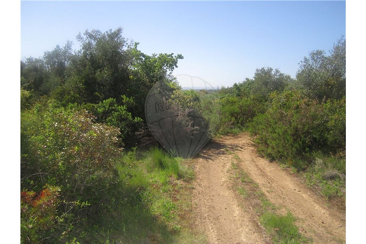 Terreno à venda em Azambuja
