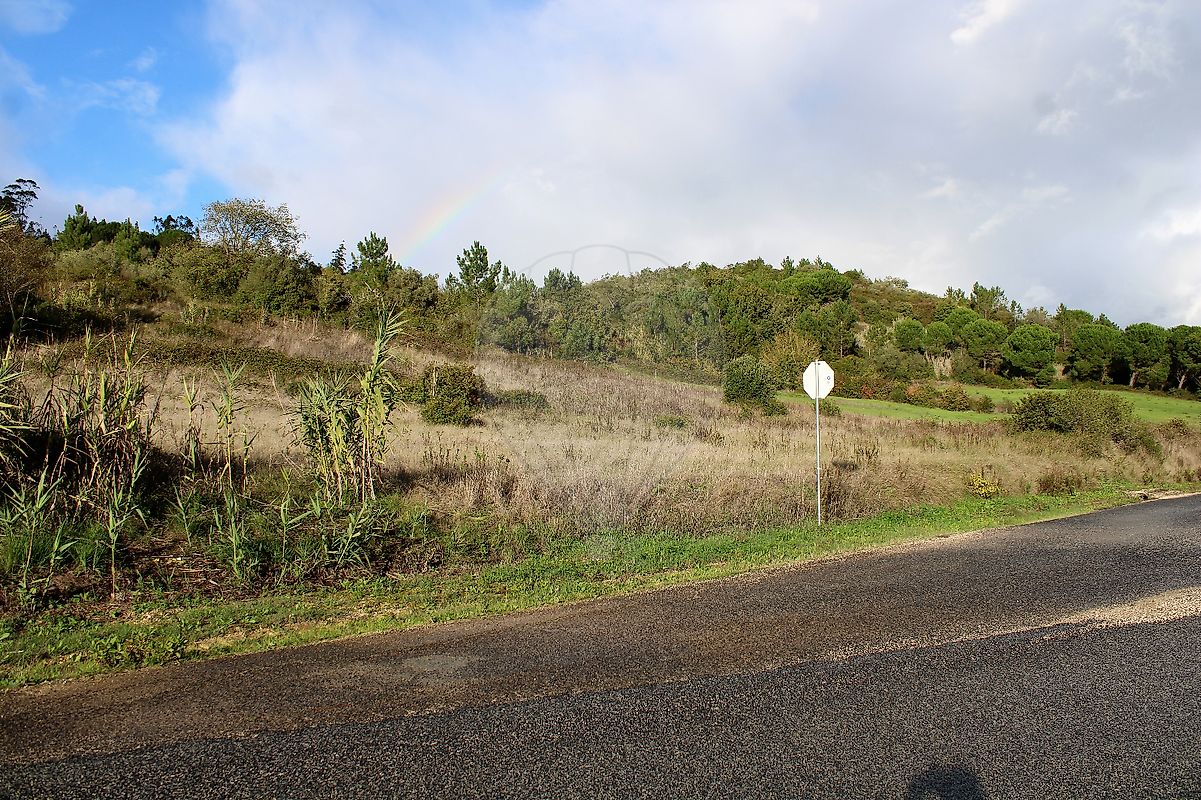 Terreno  à venda em Azambuja