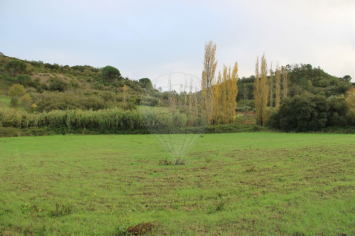 Terreno  à venda em Azambuja