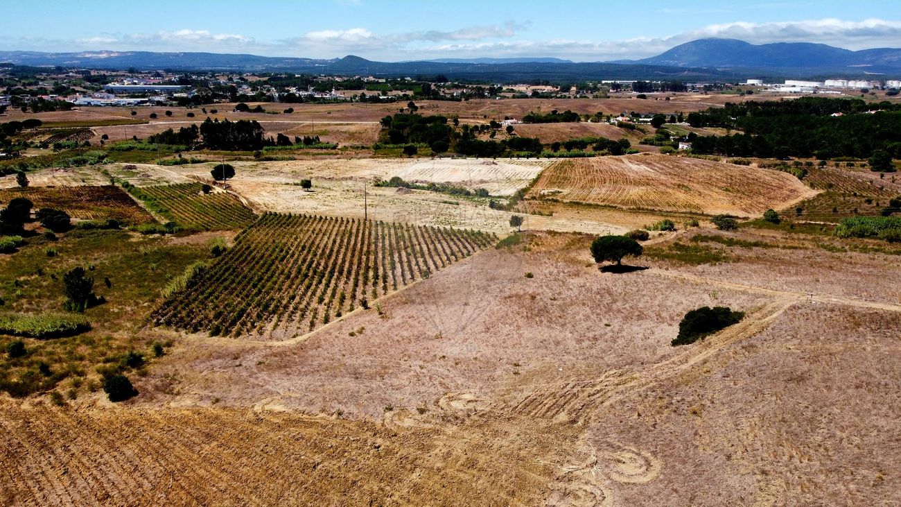 Terreno  para venda