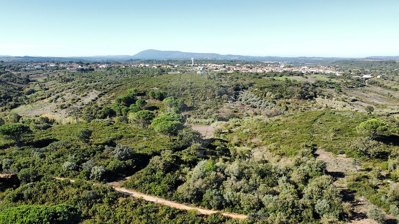 Terreno  à venda em Azambuja