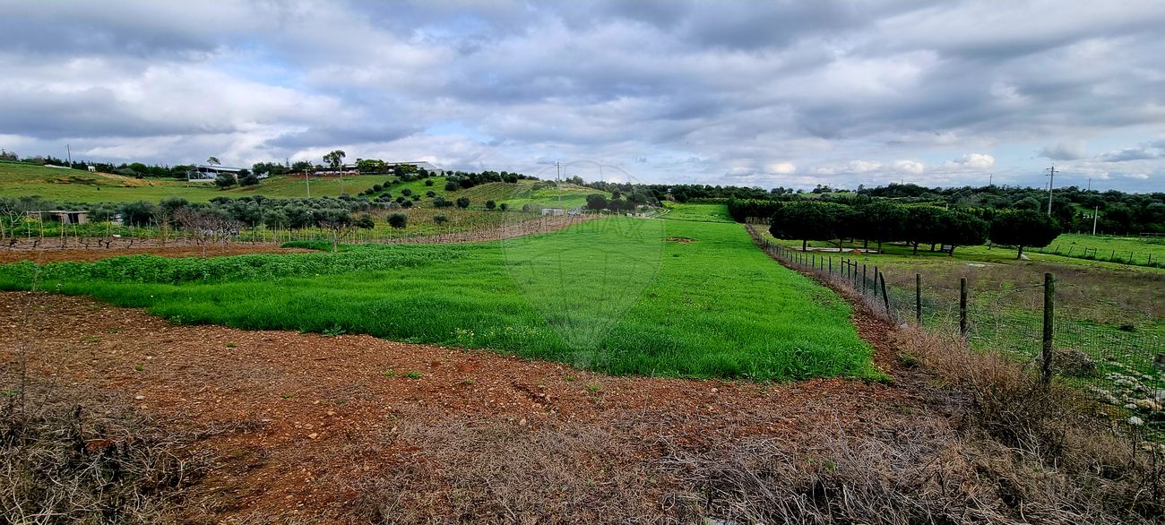 Terreno para venda