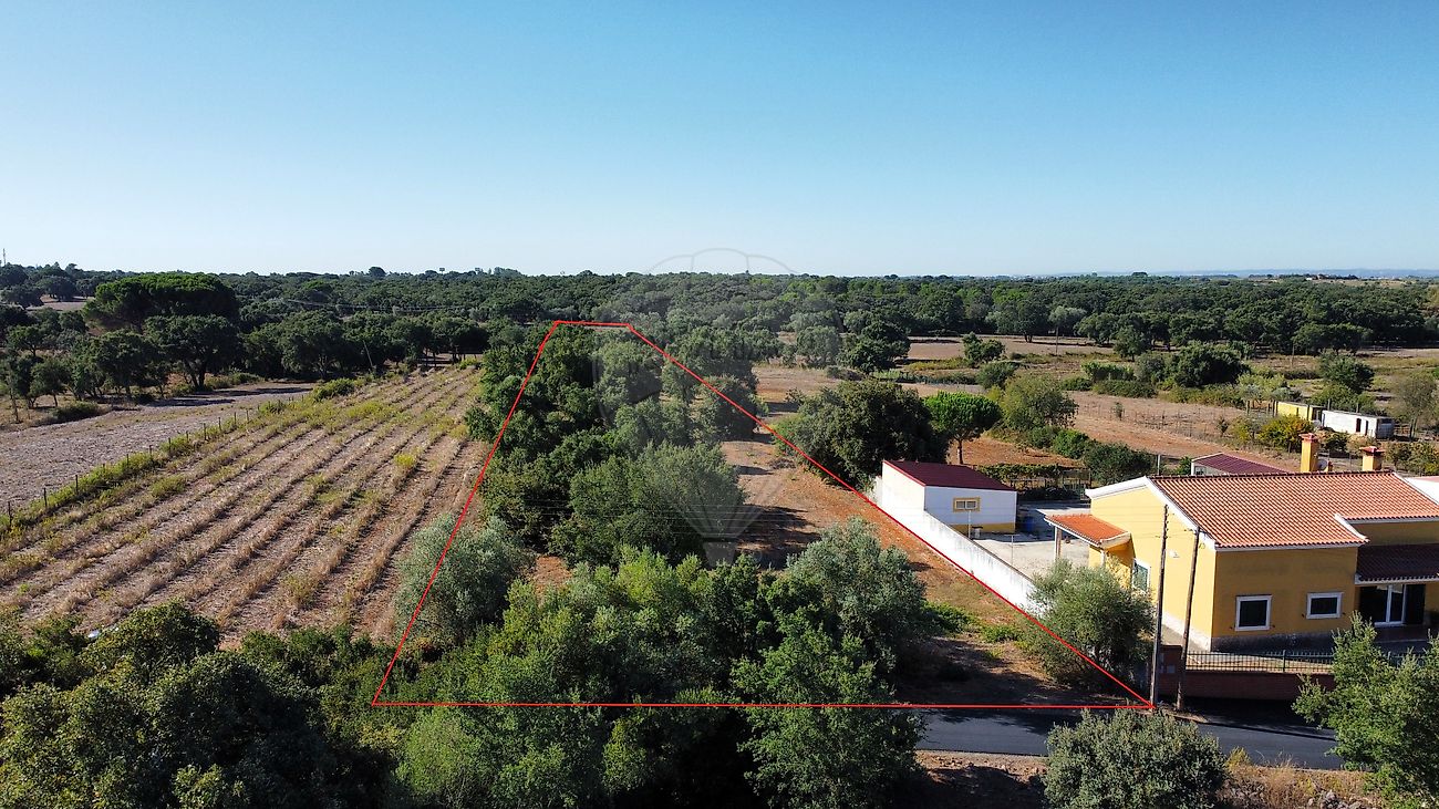 Terreno  para venda