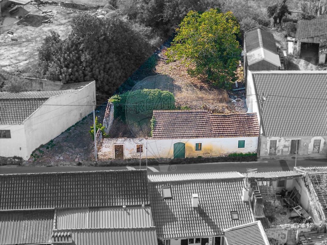 Moradia - Almoster, Santarém, Santarém