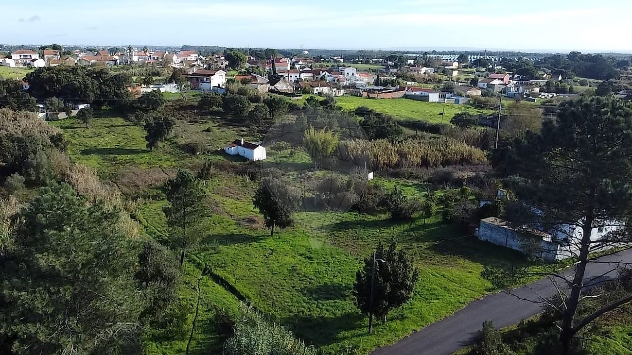 Terreno - Pontével, Cartaxo, Santarém