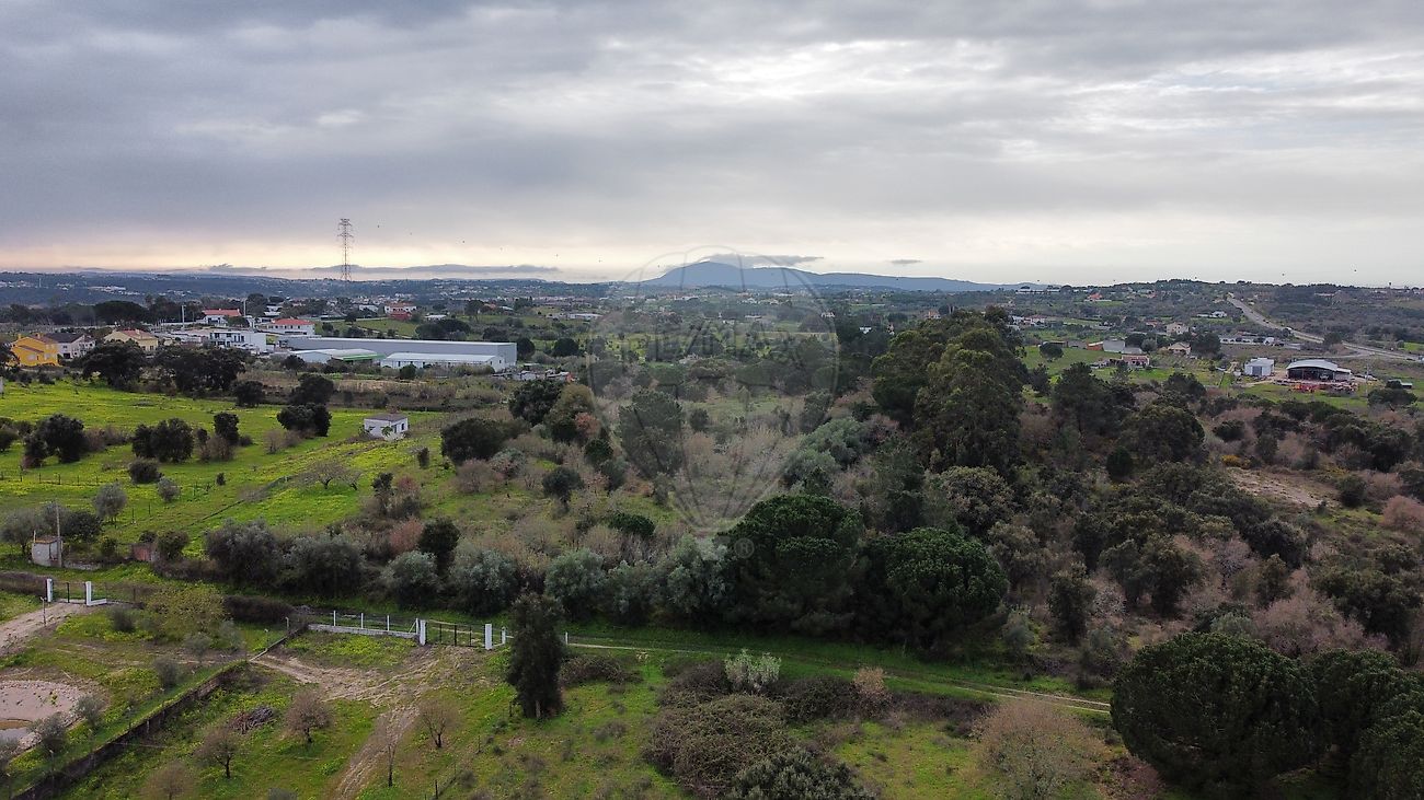 Terreno à venda em Cartaxo
