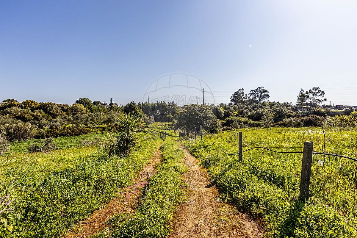 Terreno à venda em Cartaxo