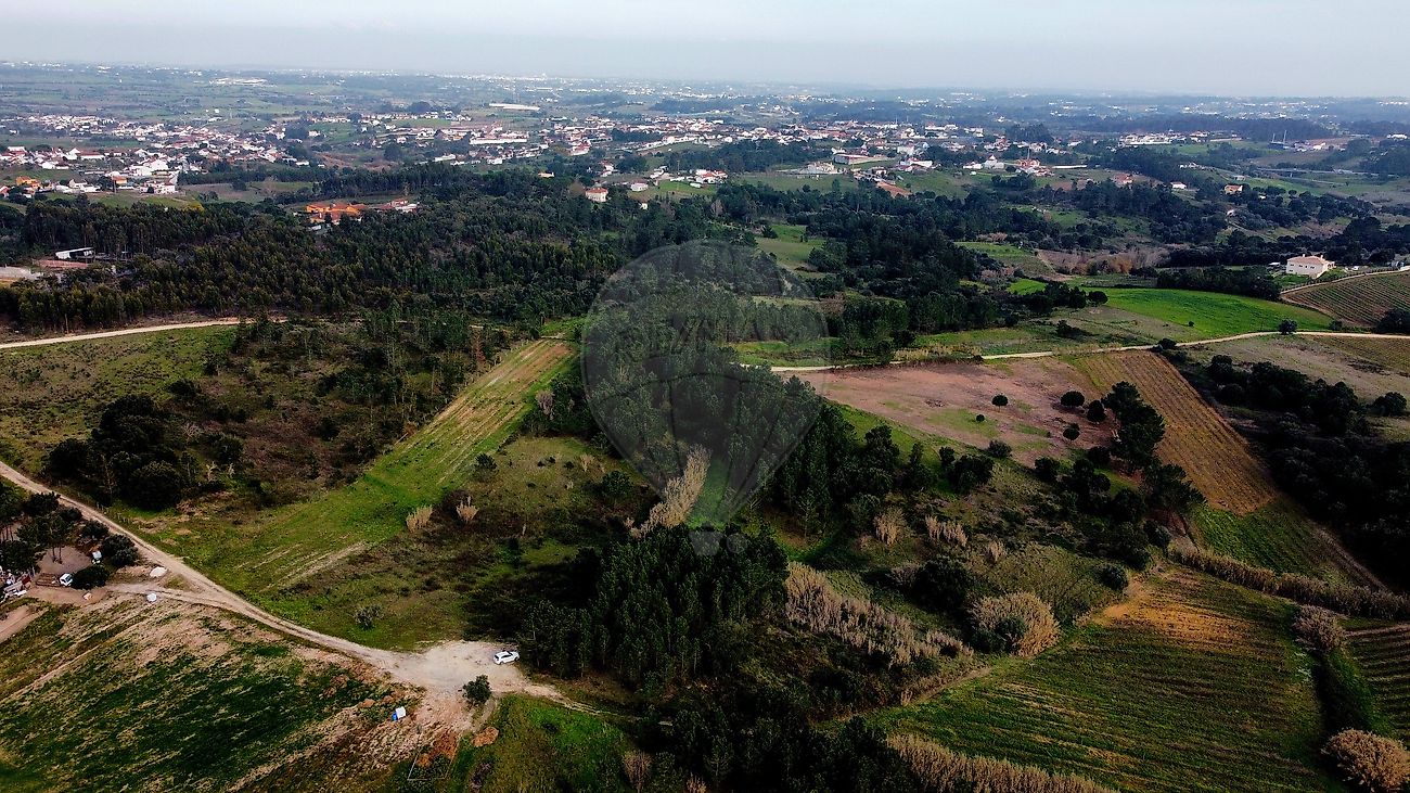 Terreno - Ereira e Lapa, Cartaxo, Santarém