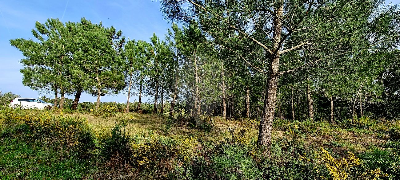 Terreno à venda em Cartaxo