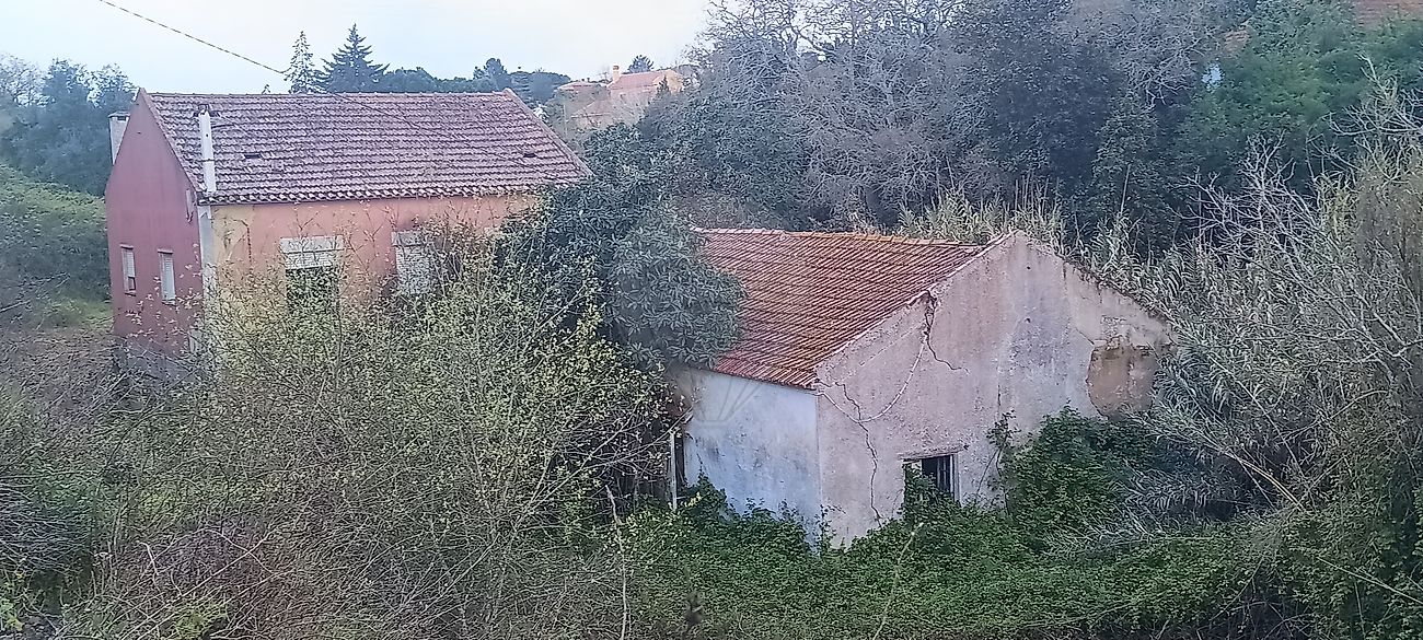 Moradia - Pontével, Cartaxo, Santarém