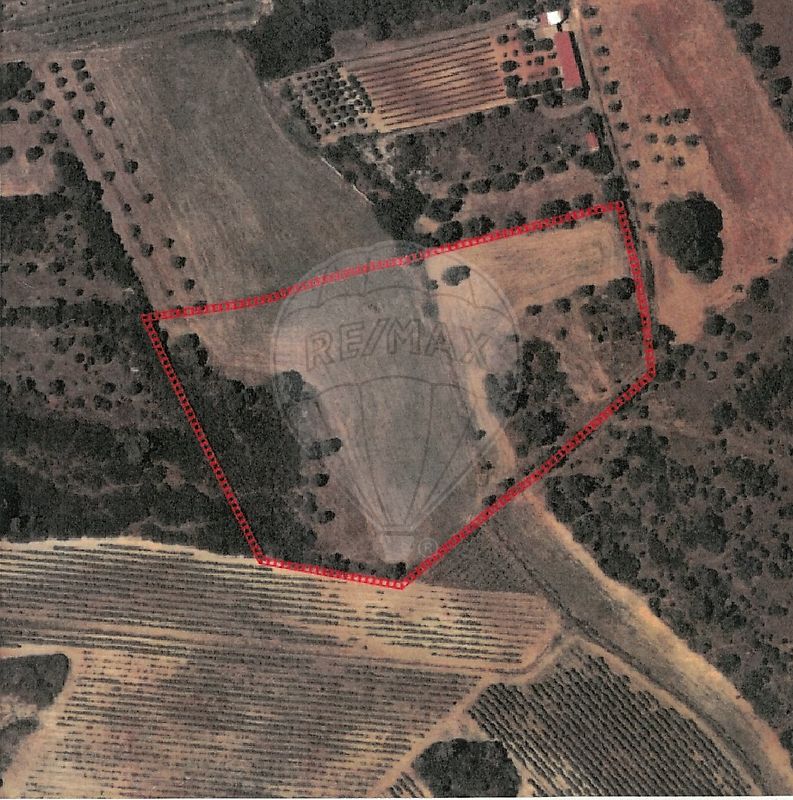 Terreno - Marmeleira e Assentiz, Rio Maior, Santarém