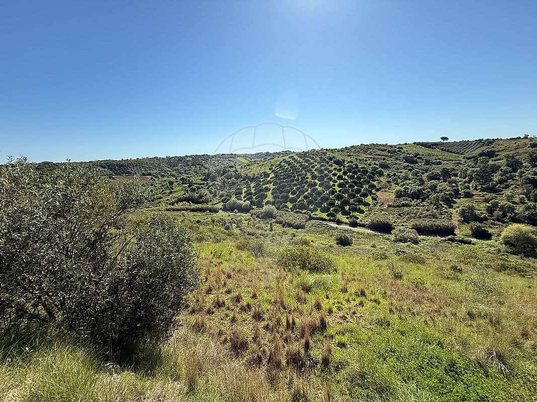 Terreno - Manique do Intendente, Vila Nova de São Pedro e Maçussa, Azambuja, Lisboa