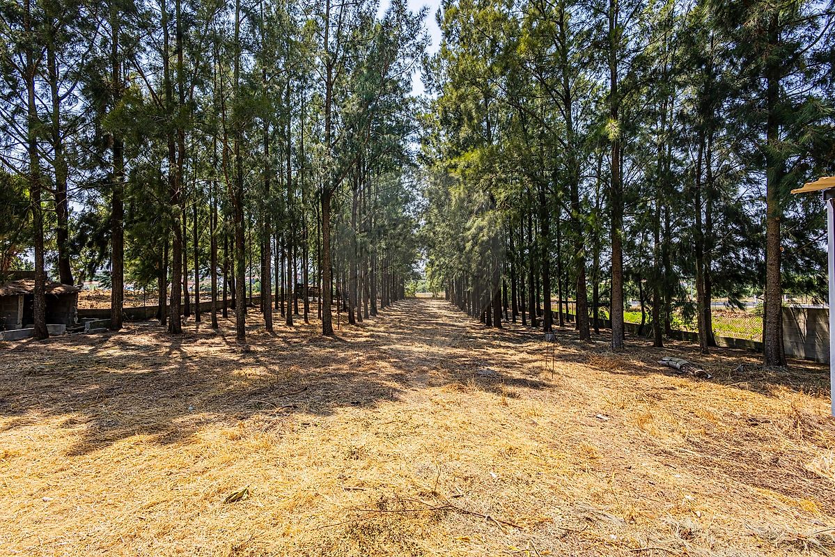 Moradia T3 à venda em Cartaxo e Vale da Pinta, Cartaxo — foto 39