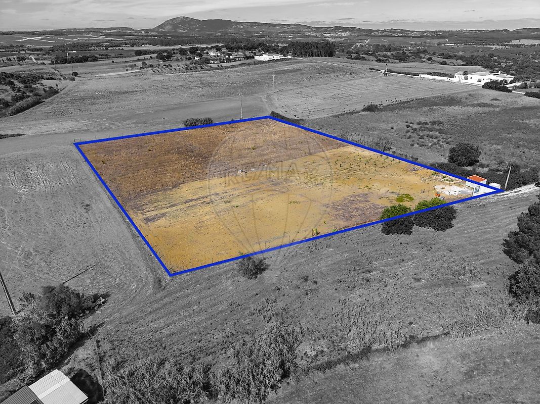 Terreno - Ereira e Lapa, Cartaxo, Santarém