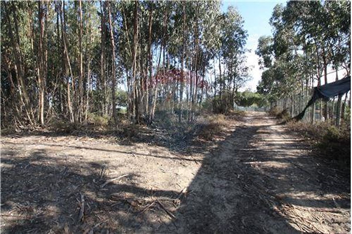 Land for sale in Palmela, Portugal — €99,000