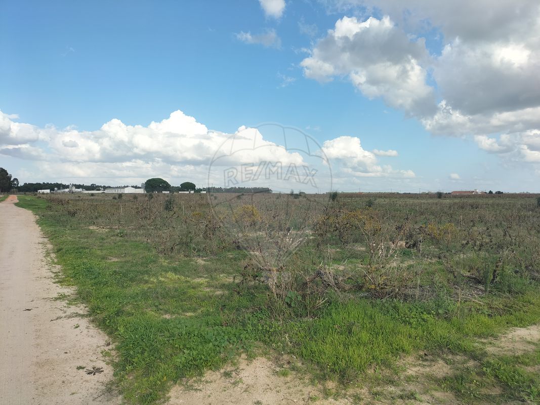listing-picture-0