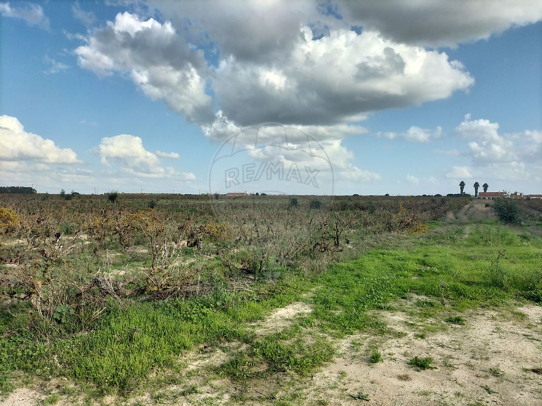 listing-picture-0
