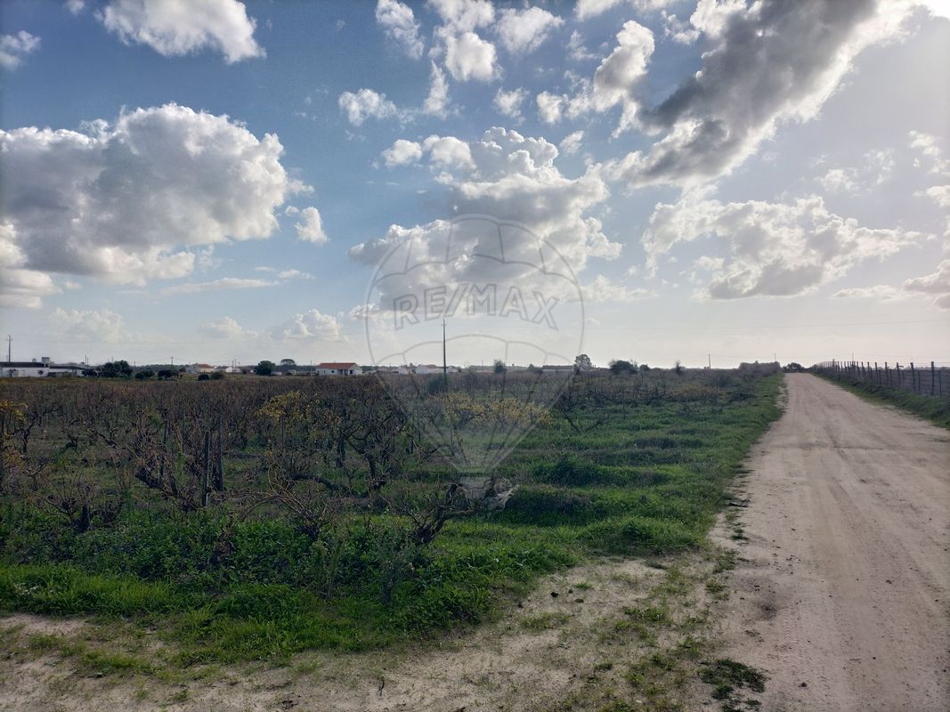 listing-picture-0