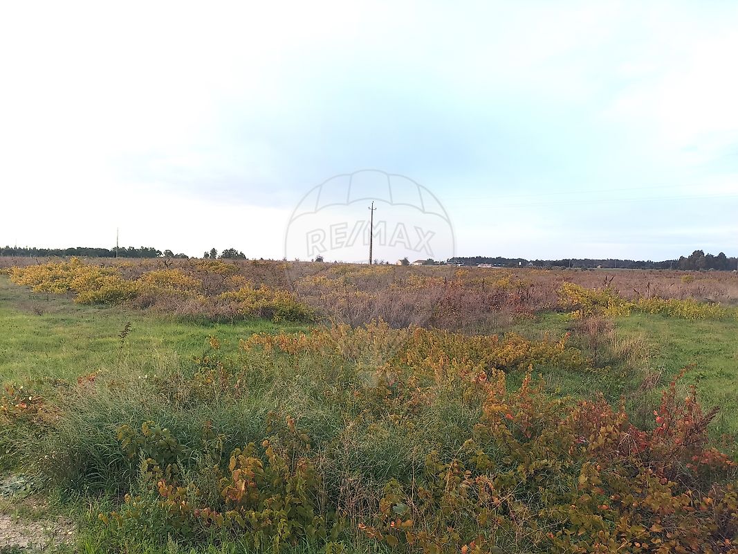 listing-picture-0