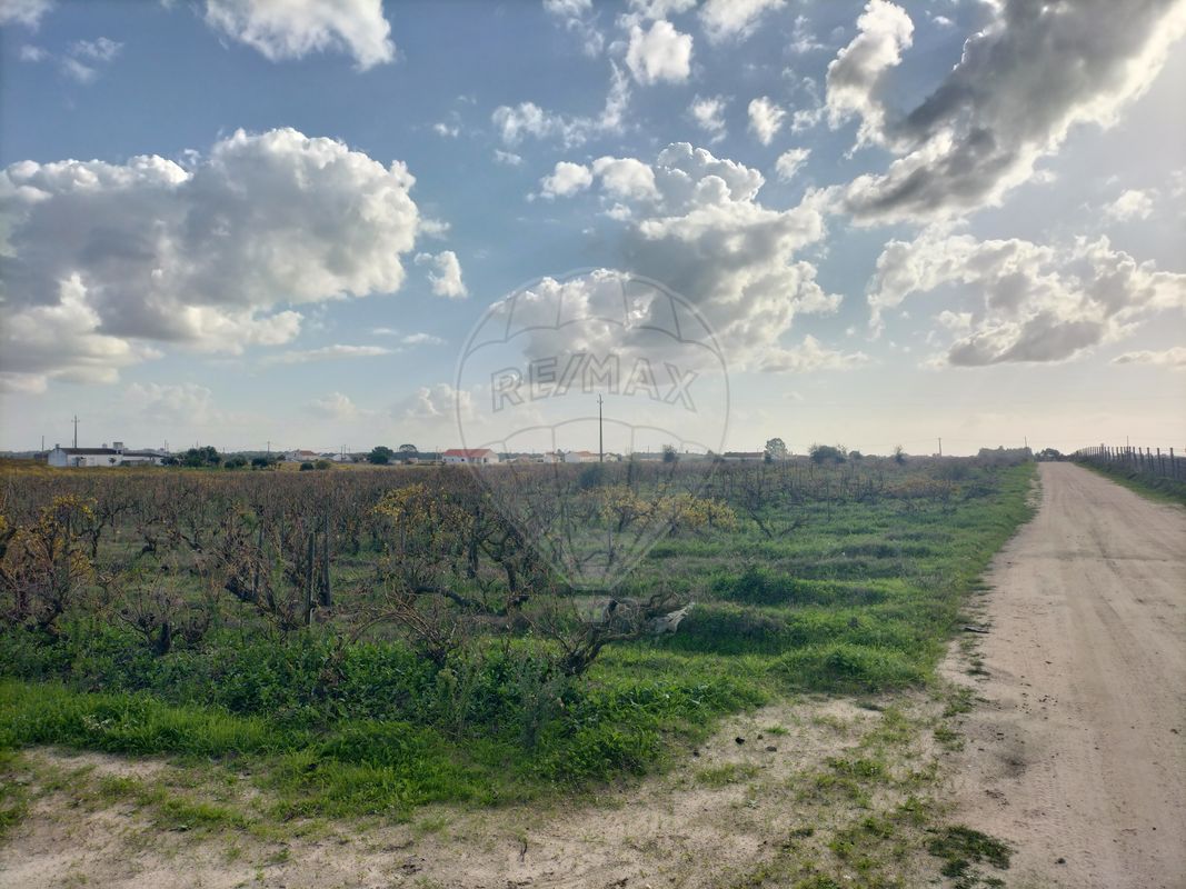 listing-picture-0