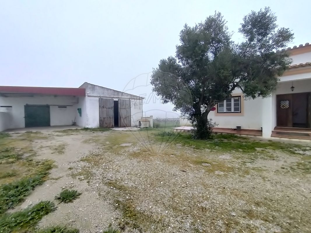 listing-picture-0