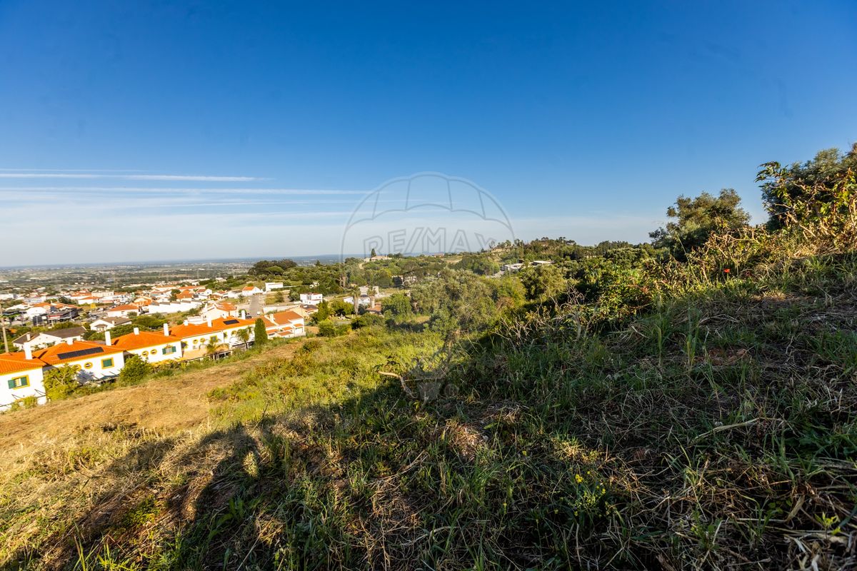 listing 123501114-59 picture-0