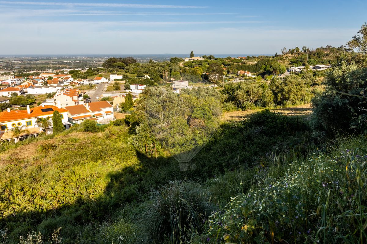 listing 123501114-59 picture-0