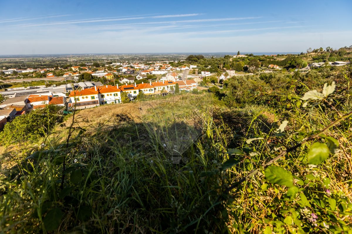 listing 123501114-59 picture-0