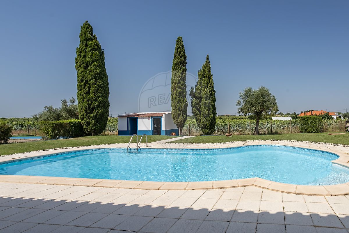 listing 123501062-52 picture-0