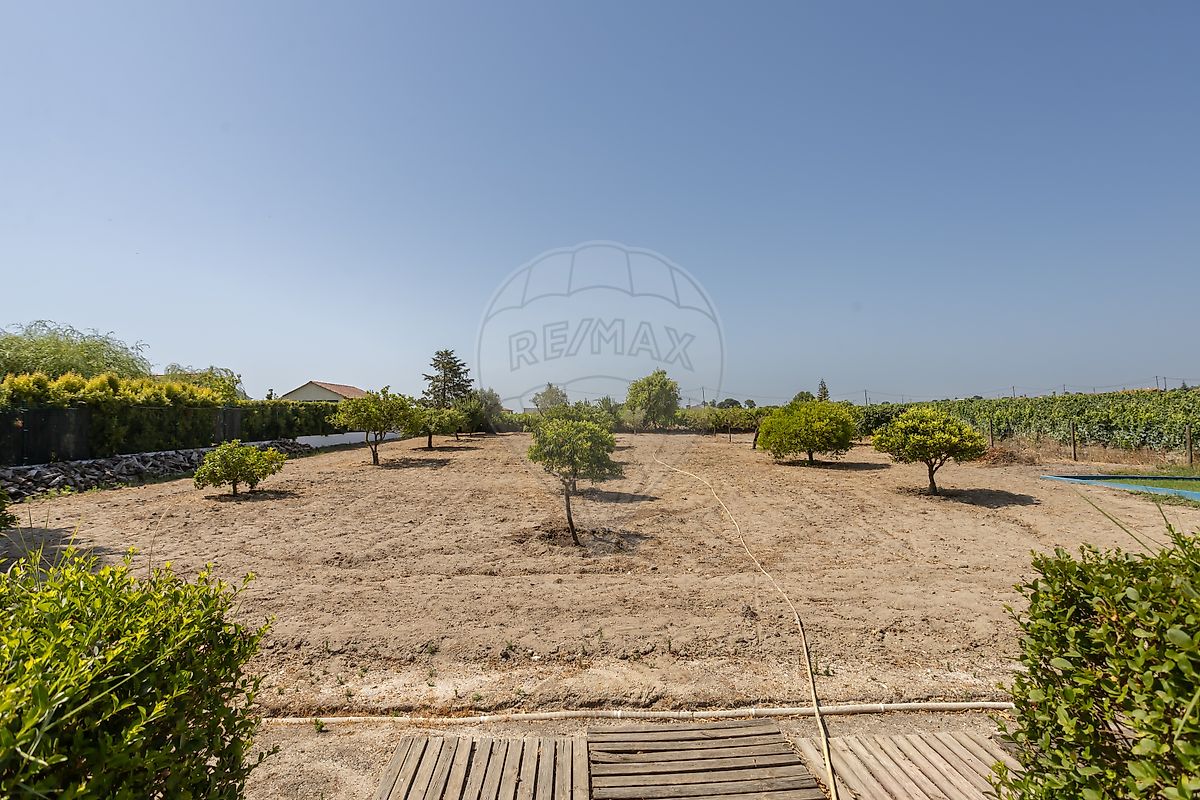 listing 123501062-52 picture-0